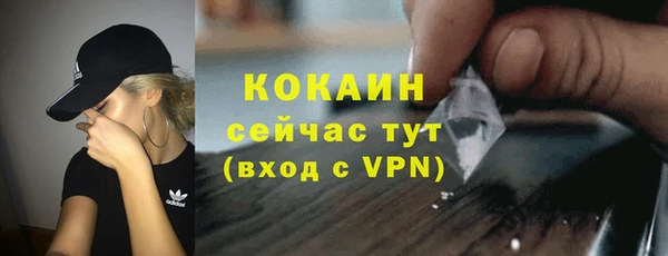 a pvp Бородино